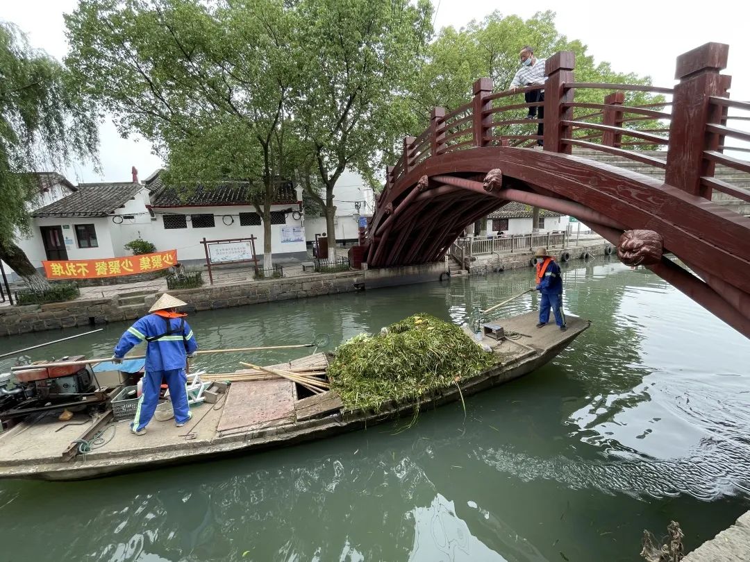 河道保潔不松懈，青浦水務人堅守一(yī)片碧水清波