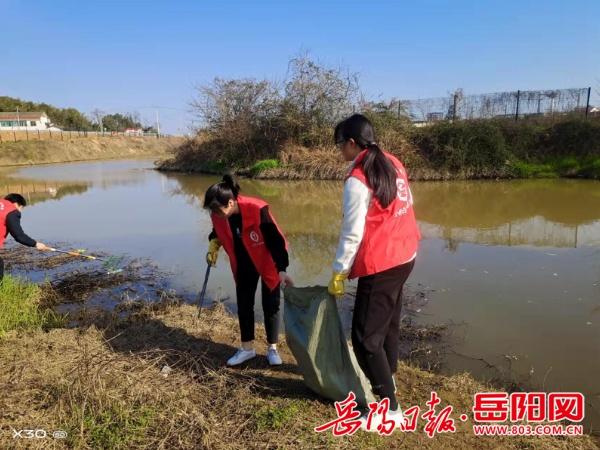 護河保潔常态化 水清河暢景色美