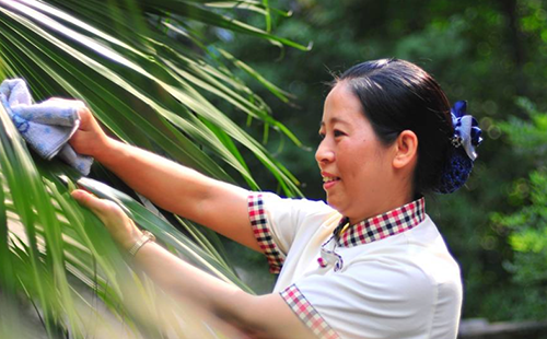 秋天來了，如何做社區植被養護？